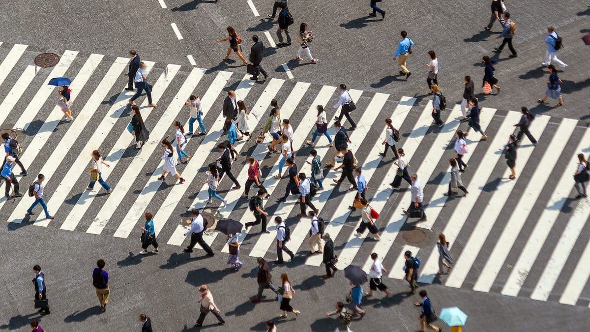 Kento — People Simulation